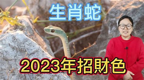 屬蛇幸運顏色2023|2023十二生肖運勢&幸運色公開！屬鼠犯太歲、屬牛偏。